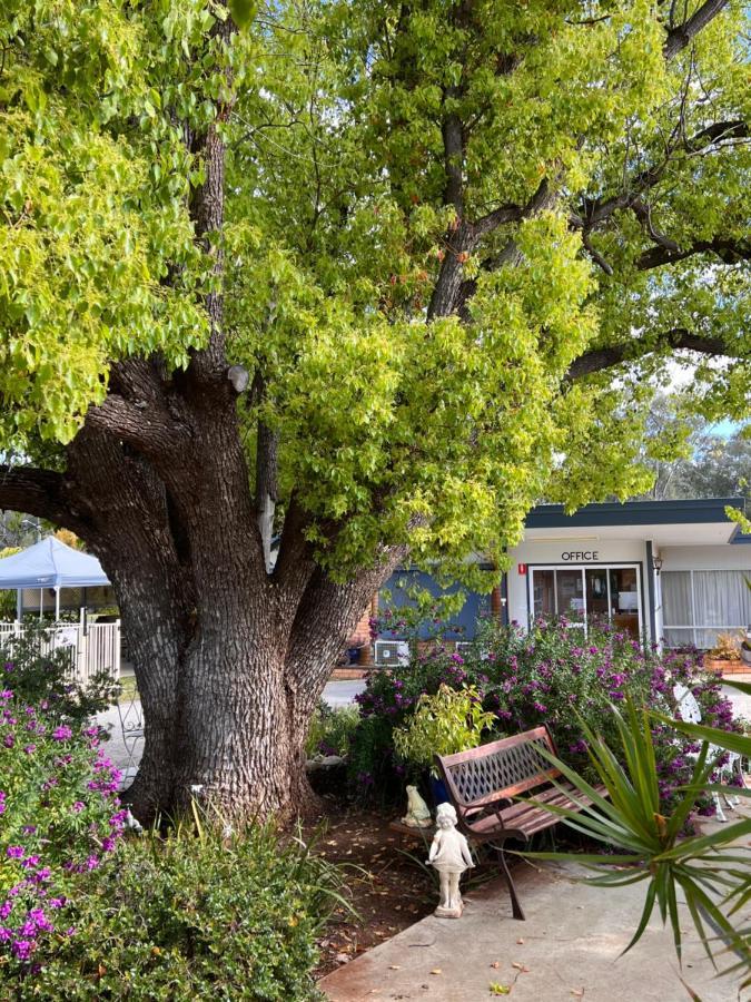 Sturt Motel Balranald Ngoại thất bức ảnh